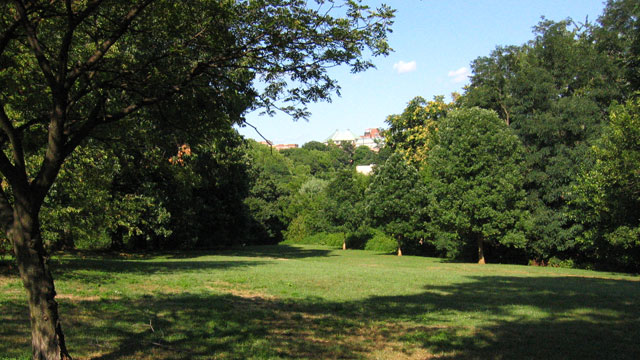 wyman park apartments